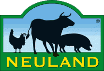 NEULAND Logo